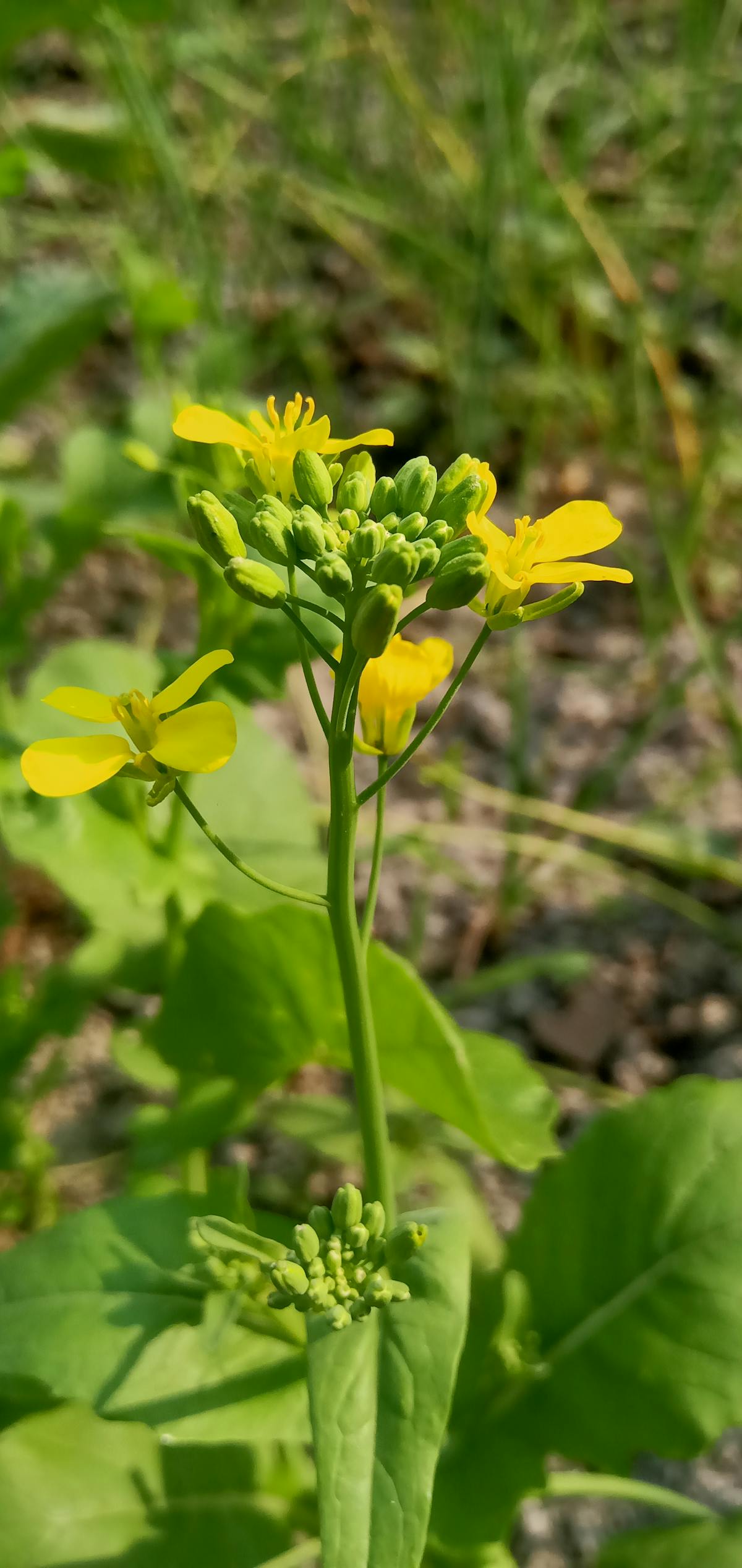 Ouvrage en métal à Nice